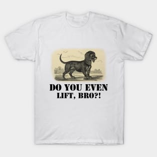 Do you even lift, bro? T-Shirt